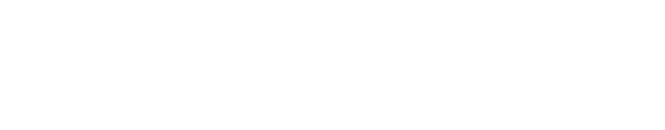 WS Studios Hair Professionals